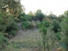Acheter Terrain 20100 m2 OLIVEIRA-DO-HOSPITAL