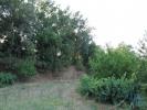 Acheter Terrain OLIVEIRA-DO-HOSPITAL rgion COIMBRA