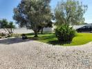 Annonce Location 7 pices Maison ARRAIADOS