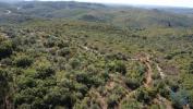 Annonce Vente Terrain ABADES