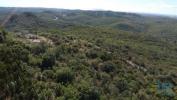 Acheter Terrain 15939 m2 ABADES