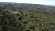 Acheter Terrain ABADES rgion SANTAREM
