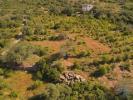 Vente Terrain FARO 8005