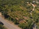 Annonce Vente Terrain FARO