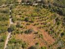 Acheter Terrain FARO rgion FARO