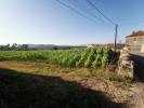 Annonce Vente Terrain ESPOSENDE
