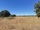 Annonce Vente Terrain LAGOS