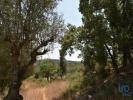 Annonce Vente Terrain FERREIRA-DO-ZEZERE