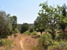 Acheter Terrain 2520 m2 FERREIRA-DO-ZEZERE