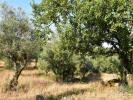 Acheter Terrain FERREIRA-DO-ZEZERE rgion SANTAREM