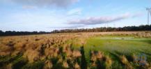 Acheter Terrain 17850 m2 VILA-DO-BISPO