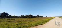 Acheter Terrain 32767 m2 VILA-DO-BISPO