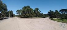 Acheter Terrain 32767 m2 VILA-DO-BISPO