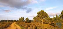 Annonce Vente Terrain VILA-DO-BISPO