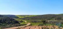 Annonce Vente Terrain VILA-DO-BISPO
