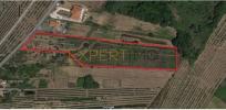 Annonce Vente Terrain BOMBARRAL