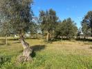 Annonce Vente Maison SANTAREM
