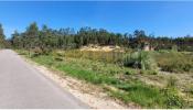 Acheter Terrain 32767 m2 OUREM