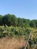 Annonce Vente Terrain LANDEIRA