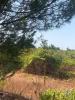 Acheter Terrain 1061 m2 LANDEIRA