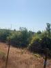 Acheter Terrain LANDEIRA rgion EVORA