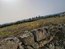 Annonce Vente Terrain GOUVEIA