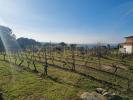 Annonce Vente Terrain GOUVEIA