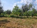 Acheter Maison 22201 m2 TABUA