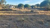 Acheter Terrain 25000 m2 PORTALEGRE