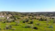 Annonce Vente Terrain VILA-DO-BISPO