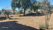 Acheter Terrain PORTALEGRE rgion PORTALEGRE