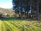 Acheter Terrain 25985 m2 GUARDA