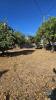 Annonce Vente Terrain LOULE