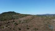 Annonce Vente Terrain FERREIRA-DO-ZEZERE