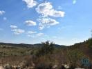 Acheter Terrain 32767 m2 FERREIRA-DO-ZEZERE