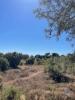 Acheter Terrain PALMELA rgion SETUBAL