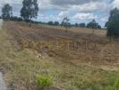 Annonce Vente Terrain MONTIJO