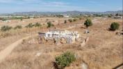 Acheter Terrain 31120 m2 FARO