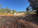 Annonce Vente Terrain BOLIQUEIME