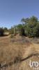 Annonce Vente Terrain ALCANTARILHA