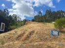 Annonce Vente Terrain POMBAL