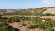 Acheter Terrain VILA-DO-BISPO rgion FARO