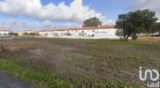 Acheter Terrain 4256 m2 MARINHA-GRANDE
