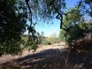 Acheter Terrain 6400 m2 LOULE