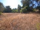 Acheter Terrain LOULE rgion FARO