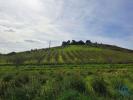 Acheter Terrain 21437 m2 AZUEIRA