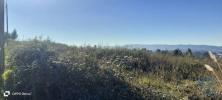 Acheter Terrain 14000 m2 AGUIAR-DE-SOUSA