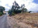 Annonce Vente Terrain TORRES-VEDRAS