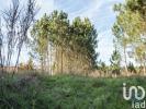 Annonce Vente Terrain MARINHA-GRANDE