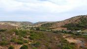Acheter Terrain 10040 m2 VILA-DO-BISPO